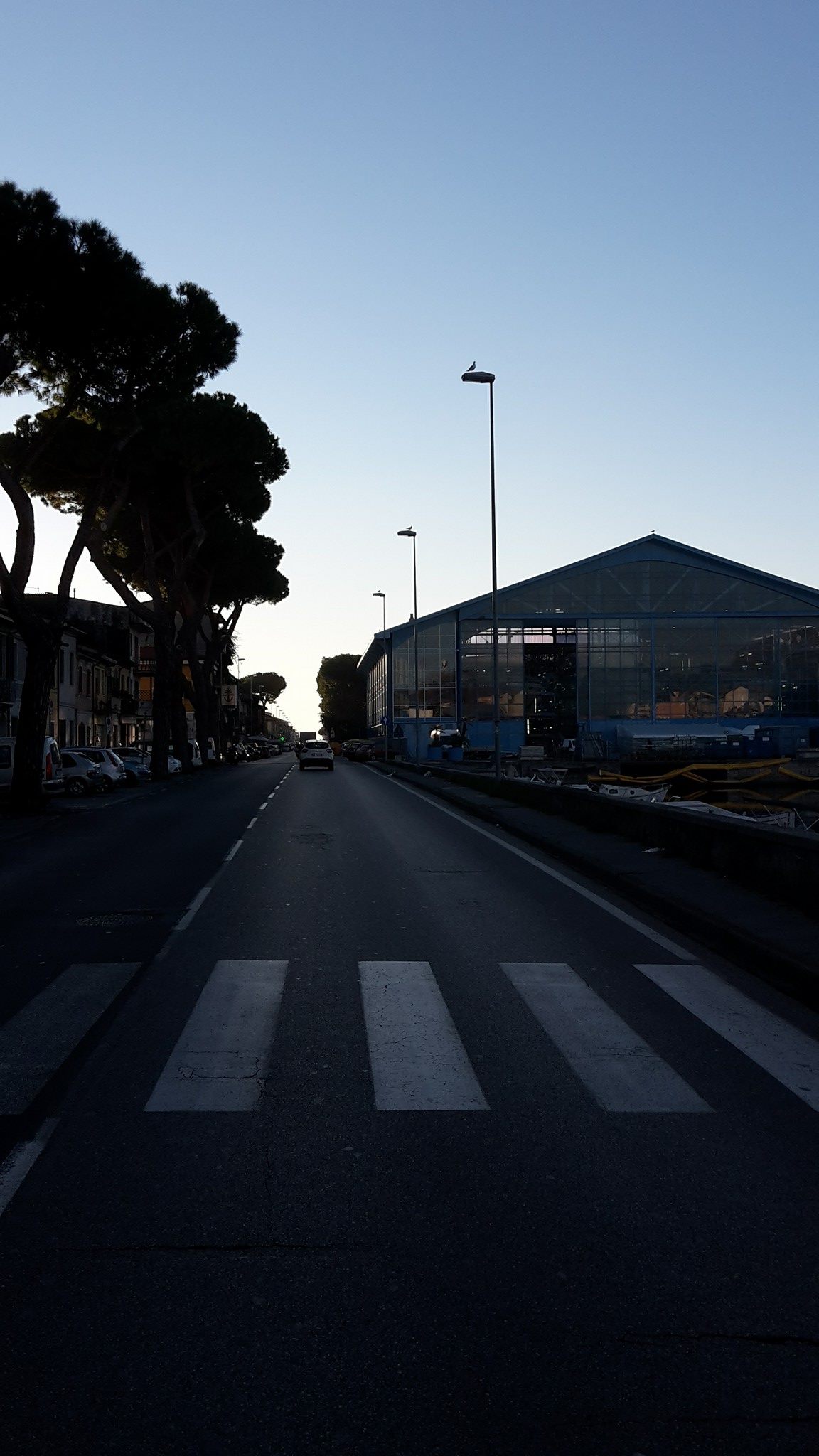 Quanto si paga per avere 5 giornatine così…