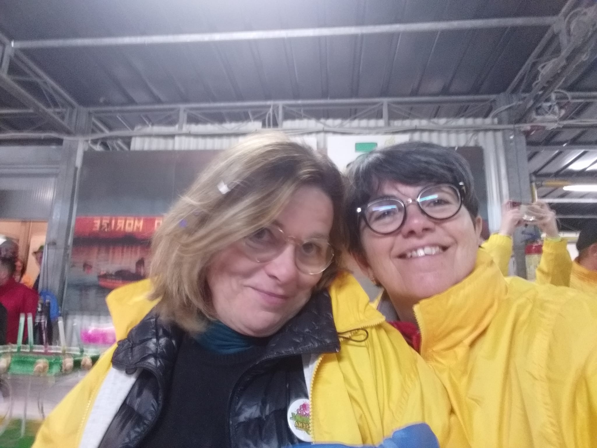 I volontari del Carnevaldarsena 2020