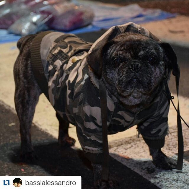 #Repost @bassialessandro with @repostapp
